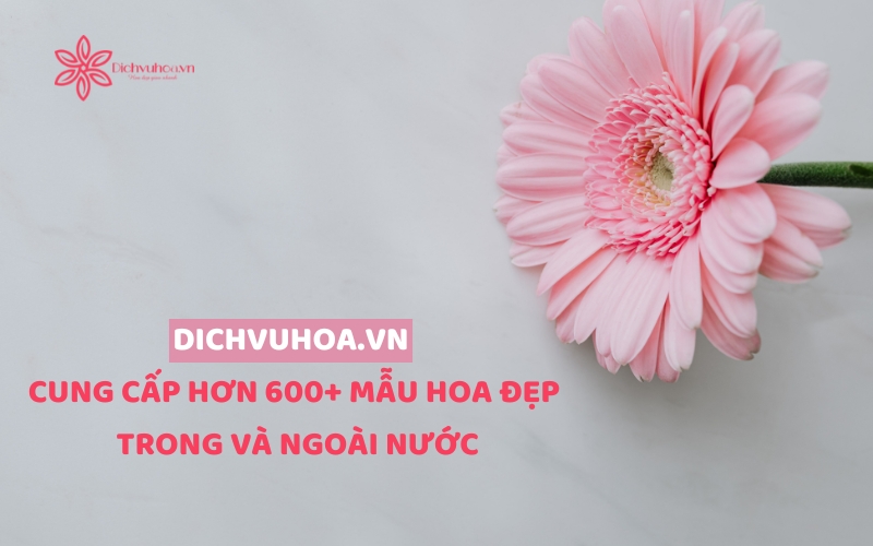 dịch vụ hoa