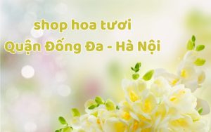 shop hoa tươi quận đống đa hà nội