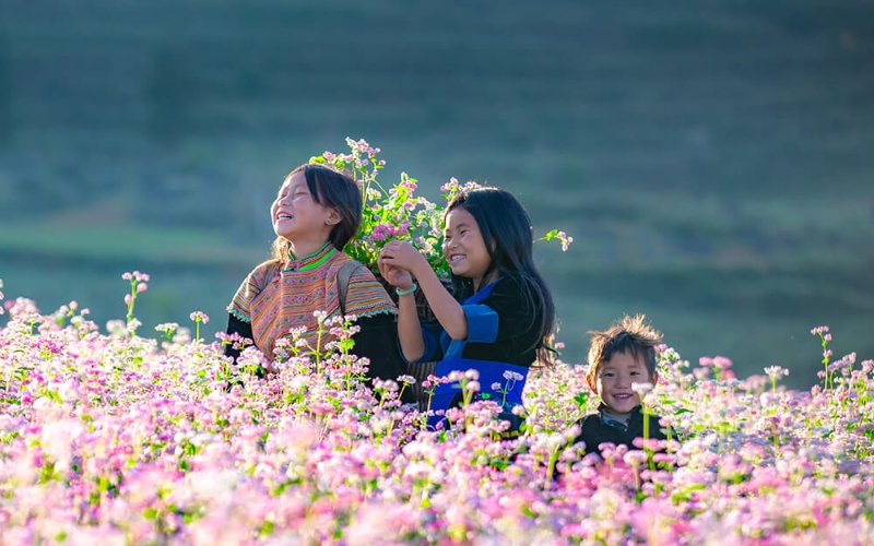 Phượt Hà Giang mùa nào đẹp?