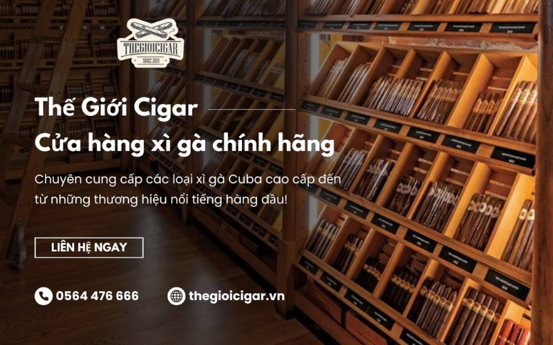 Thế Giới Cigar - Cửa hàng xì gà chính hãng
