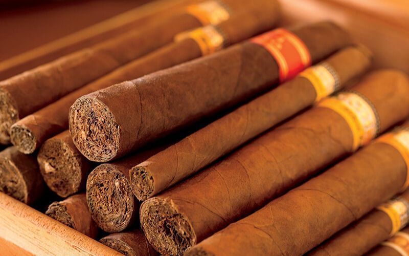 shop xì gà HUMiDOR Vietnam