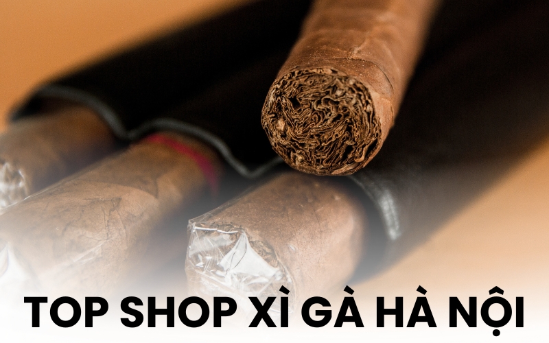 shop xì gà Hà Nội