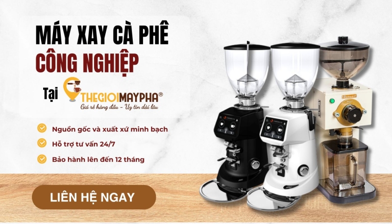 Mua thiết bị máy pha chất lượng tại thegioimaypha
