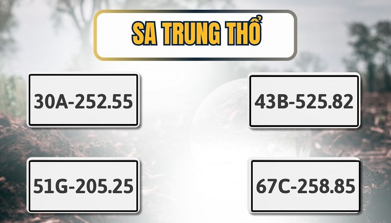 biển số hợp mệnh Sa Trung Thổ